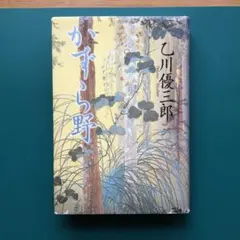 日陰の村 石川達三 新潮社 - メルカリ