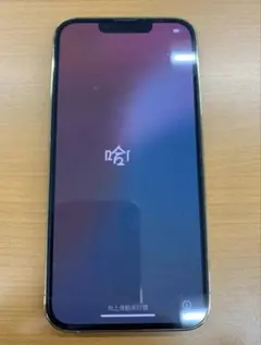 動作確認済 iPhone 13 Pro 256GB
