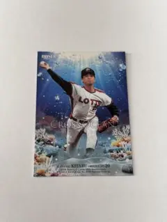 Item thumbnail for item 292d30f3-9988-46ad-9037-a5d2ebb86e73