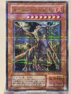 2025年最新】タイラント ドラゴン パラレルの人気アイテム - メルカリ