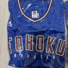 Item thumbnail for item cb176119-ed44-4d2c-b775-240dc47e3f90