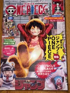 ONE PIECE magazine vol.20 新品未使用　特典プロモ付き