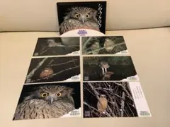 Item thumbnail for item d50e109f-61be-461a-829a-4ff99b86bcea