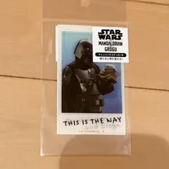 新品 マンダロリアン・アンド・グローグー/チェンジングステッカーB
