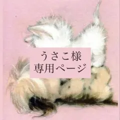 うさこ様 専用ページ