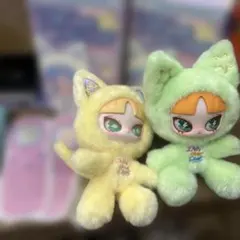 INNZ インズ 猫 新作 セット