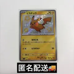 2026年最新】色違いピカチュウSの人気アイテム - メルカリ