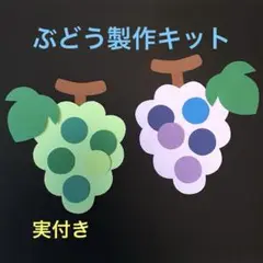 製作キット「ぶどう」10セット