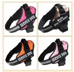 Item thumbnail for item 44b2297f-4304-45f5-861a-2ea48712ecb6