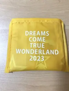 ドリカム　エコバッグ