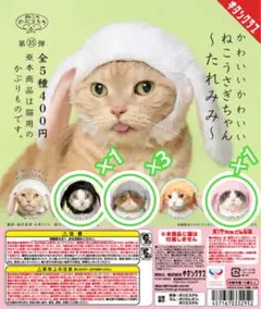 かわいいかわいい ねこうさぎちゃん かぶりもの セット たれみみ