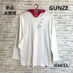 M04 グンゼ 新品 ホットマジック ロングスリーブシャツ LL