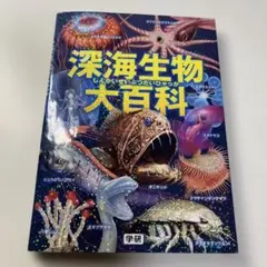 深海生物大百科