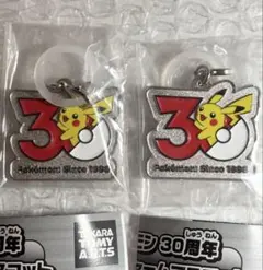 ポケモン 30周年 メタルチャーム 2個セット
