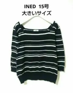 INED イネド トップス サマーニット 美品 15号 大きいサイズ カットソーのサムネイル
