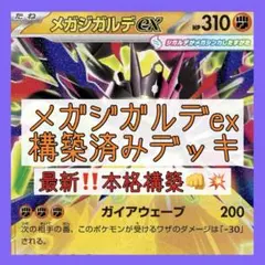 大特価♪本格構築‼️ メガジガルデexデッキ 構築済みデッキ ルナソル型