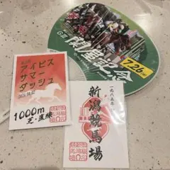 JRA 新潟競馬場　アイビスサマーダッシュ　御駿印 御朱印　2枚と関屋記念うちわのサムネイル