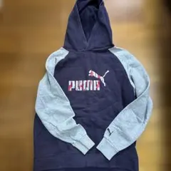 Item thumbnail for item 5e846bdb-13a1-4f60-8ec4-051ee821b44e