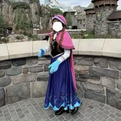 2025年最新】アナ ウィッグの人気アイテム - メルカリ