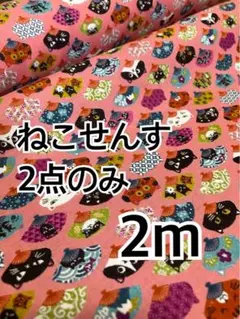 2m 猫せんす　2点のみ　スケア　ハギレ　生地