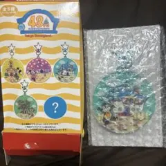 東京ディズニーランド 43周年 キーチェーン チップ