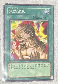 遊戯王　カード　 メタモルフォーゼ 301-038