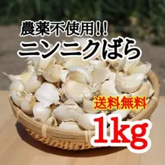 送料無料!! 2026年産 無農薬 バラニンニク 1kg ニンニク 1キロのサムネイル