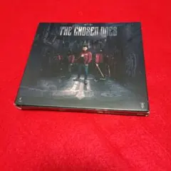 激レア　国内盤帯付き　CHASER /THE BIG PICTURE 激レア 国内盤帯付き CHASER /THE BIG PICTURE - メルカリ