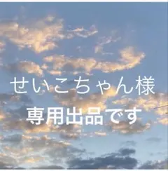 せいこちゃん様専用！ Bliss bunch 1点