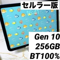 美品iPad 第10世代 セルラー 256GB BT100%