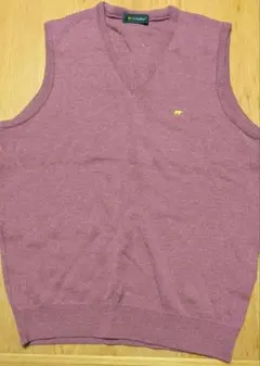 【未使用】Golden Bear V首ベスト