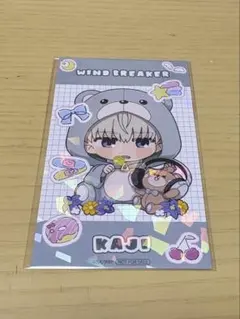 WINDBREAKER ファボテリア フラワーベア 梶蓮