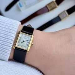 Vintage FAVRE LEUBA GENEVE 手巻き ローマン文字盤 - メルカリ