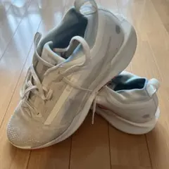 2026年最新】ナイキ 28.5 トレイルの人気アイテム - メルカリ