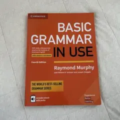 BASIC GRAMMAR IN USE