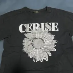 〈16〉レディース Tシャツのサムネイル