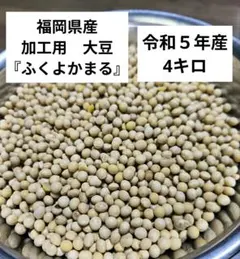 令和7年度秋田県産大豆(リュウホウ)箱込3.5㎏ - メルカリ