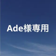 Ade様 リクエスト 2点 まとめ商品