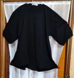 SUN VALLEY 綿麻天仁ボリューム６分袖Tシャツのサムネイル