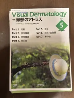 [断裁済]Visual Dermatology 2024年5月号