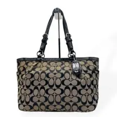 美品 コーチ COACH ショルダーバッグ ハンドバッグ F17109 - メルカリ