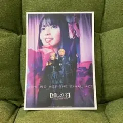 Item thumbnail for item 02c9a8b6-d8bf-4c39-8e89-524d196a3fa5