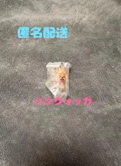 スキズ SKZOO ガチャ めじるしアクセサリー ハンクォッカ