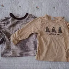 ルーシー・ブラウン・ベア Tシャツ 2枚セット