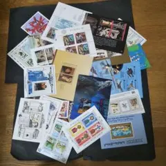 わんさくん様 リクエスト 2点 まとめ商品