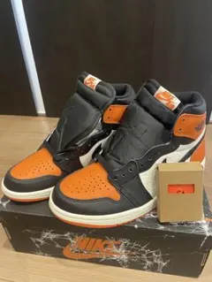 Nike Air Jordan 1 Shattered Backboard