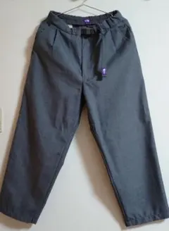 THE NORTH FACE PURPLE LABEL Pants 30