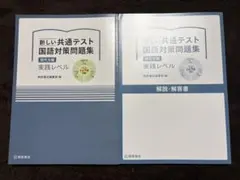 新しい共通テスト 国語対策問題集 現代文編 実践レベル
