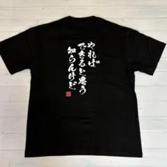 おもしろT メンズ 100%コットン 黒 Tシャツ 日本語デザイン Lサイズ