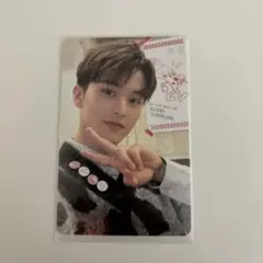 NCT127 マーク トレカ シーグリ